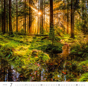 Fotografie k reklamnímu předmětu „Forest 2024- Nástěnný kalendář“