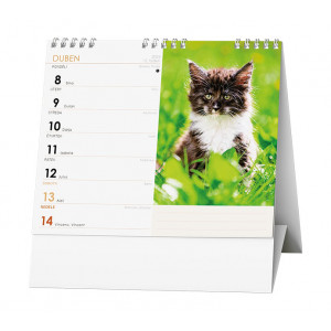 Fotografie k reklamnímu předmětu „Kočky 2024 - Stolní kalendář Ideál“