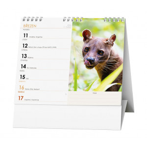 Fotografie k reklamnímu předmětu „Zvířátka celého světa 2024 - Stolní kalendář Ideál“