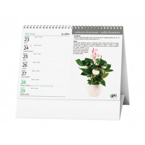 Fotografie k reklamnímu předmětu „Pokojové květiny 2024 - Stolní kalendář“