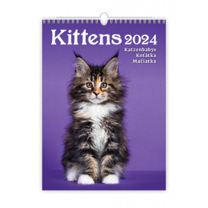 Fotografie reklamního předmětu „Koťátka 2024 - nástěnný kalendář“