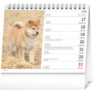 Fotografie k reklamnímu předmětu „Psy – s menami psov SK 2024 - Stolní kalendář“