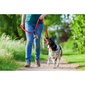 Fotografie k reklamnímu předmětu „zásobník RPET na psí extrementy na zakázku“