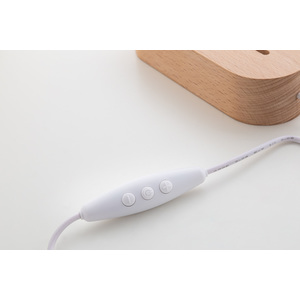 Fotografie k reklamnímu předmětu „LED světelná trofej“