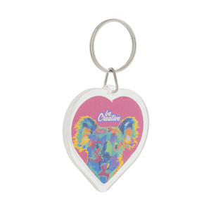 Fotografie k reklamnímu předmětu „přívěsek na klíče“