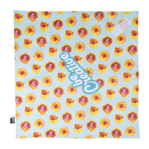 Fotografie k reklamnímu předmětu „RPET obal na sendviče“