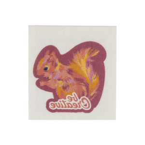 Fotografie k reklamnímu předmětu „tetovací obtisky“