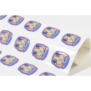 Fotografie k reklamnímu předmětu „epoxy samolepky“