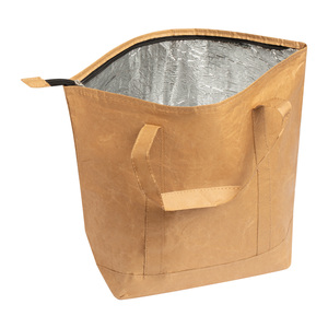 Fotografie k reklamnímu předmětu „chladící taška“