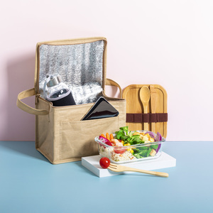 Fotografie k reklamnímu předmětu „chladící taška“