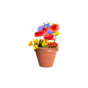 Fotografie k reklamnímu předmětu „kapsle se semínky květin“