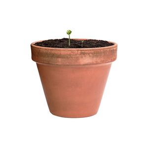 Fotografie k reklamnímu předmětu „koule se semínky“