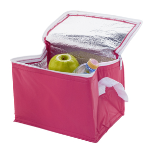 Fotografie k reklamnímu předmětu „chladící taška“