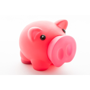 Fotografie k reklamnímu předmětu „pokladnička prasátko“