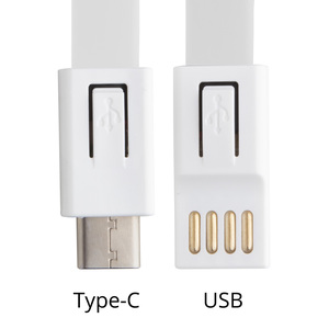 Fotografie k reklamnímu předmětu „lanyard s USB typ-C“