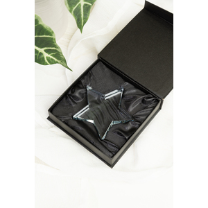 Fotografie k reklamnímu předmětu „trofej s hvězdou“