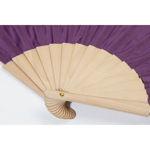 Fotografie k reklamnímu předmětu „Solana RPET vějíř“