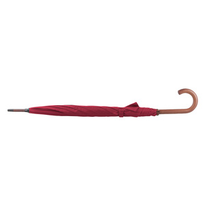 Fotografie k reklamnímu předmětu „automatický deštník“