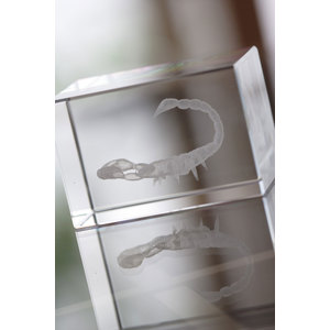 Fotografie k reklamnímu předmětu „skleněné těžítko, vhodné pro 3d laser“