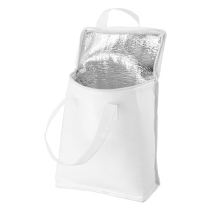 Fotografie k reklamnímu předmětu „chladící taška“