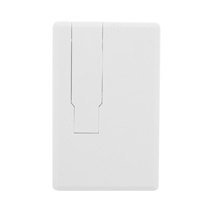 Fotografie k reklamnímu předmětu „USB flash disk RABS“