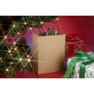 Fotografie k reklamnímu předmětu „Papírový sáček PAKLO medium“