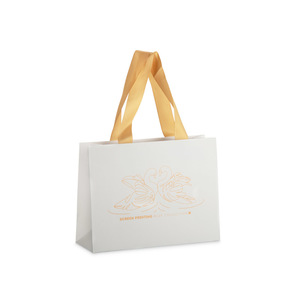 Fotografie k reklamnímu předmětu „Papírový sáček DUNA medium“