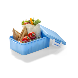 Fotografie k reklamnímu předmětu „Krabička PANINI 900 ml“