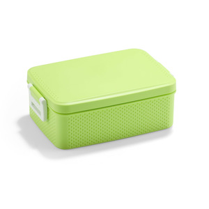 Fotografie k reklamnímu předmětu „Krabička PANINI 900 ml“