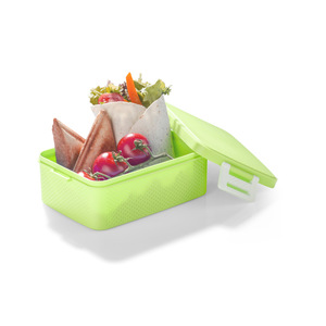 Fotografie k reklamnímu předmětu „Krabička PANINI 900 ml“