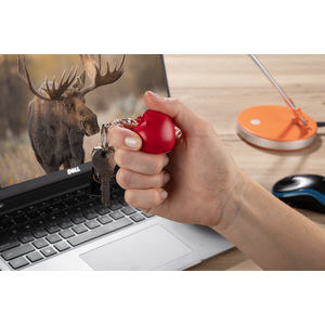 Fotografie k reklamnímu předmětu „Antistresový kroužek na klíče LOVE“