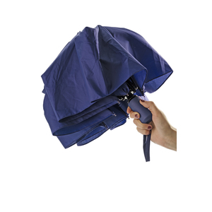 Fotografie k reklamnímu předmětu „Deštník REGO“