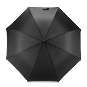 Fotografie k reklamnímu předmětu „Deštník DIZZES“