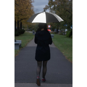 Fotografie k reklamnímu předmětu „Deštník ISTA“