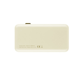 Fotografie k reklamnímu předmětu „Power banka GRAND 12 000 mAh“