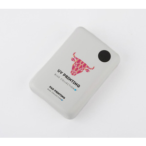 Fotografie k reklamnímu předmětu „Power banka DEZZ 10 000 mAh“