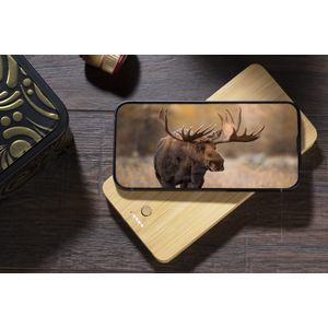 Fotografie k reklamnímu předmětu „Power bank BORRA 10000 mAh“