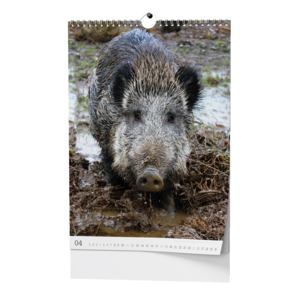 Fotografie k reklamnímu předmětu „Nástěnný kalendář - Myslivecký kalendář - A3“