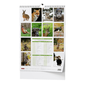 Fotografie k reklamnímu předmětu „Nástěnný kalendář - Myslivecký kalendář - A3“