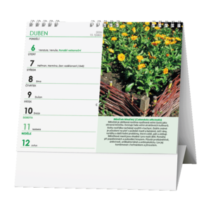 Fotografie k reklamnímu předmětu „Stolní kalendář - IDEÁL - Léčivé rostliny“