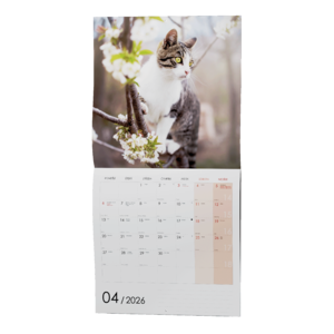Fotografie k reklamnímu předmětu „Nástěnný kalendář - Kočky“