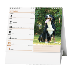 Fotografie k reklamnímu předmětu „Stolní kalendář - IDEÁL - Pes - věrný přítel /s psími jmény/“