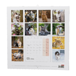 Fotografie k reklamnímu předmětu „Nástěnný kalendář - Kočky“