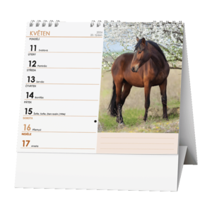 Fotografie k reklamnímu předmětu „Stolní kalendář - IDEÁL - Koně“