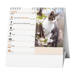 Fotografie k reklamnímu předmětu „Stolní kalendář - IDEÁL - Kočky /s kočičími jmény/“