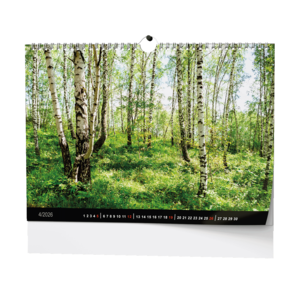 Fotografie k reklamnímu předmětu „Nástěnný kalendář - Les“