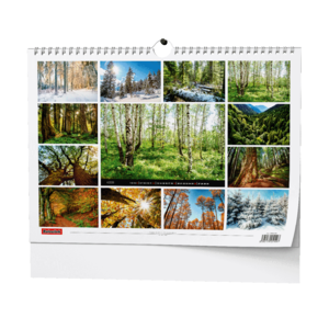 Fotografie k reklamnímu předmětu „Nástěnný kalendář - Les“