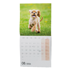 Fotografie k reklamnímu předmětu „Nástěnný kalendář - Štěňata“