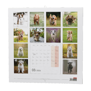 Fotografie k reklamnímu předmětu „Nástěnný kalendář - Štěňata“