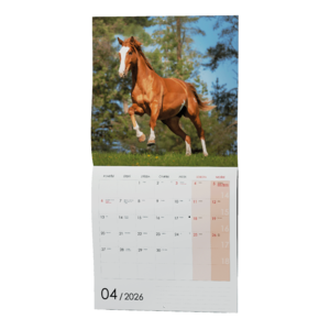 Fotografie k reklamnímu předmětu „Nástěnný kalendář - Koně“